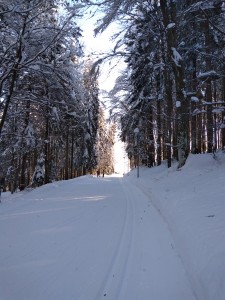 pista_di_sci_nordico_monte_alben