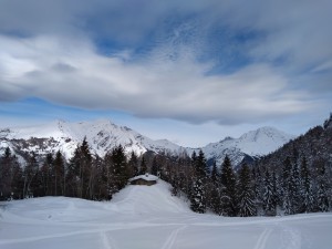 pian_dell_mussa_pista_di_sci_nordico_monte_alben