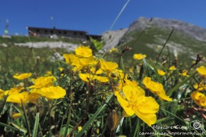 Rifugio Capanna 2000 all'inzio del sentiero dei fiori capanna 2000
